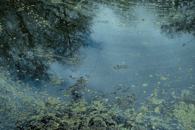 stodmarsh  DSCF4185.jpg