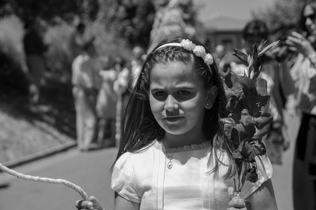 bustio 045 1O6A2263.jpg