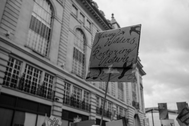 restore nature 88 DSCF9532.jpg