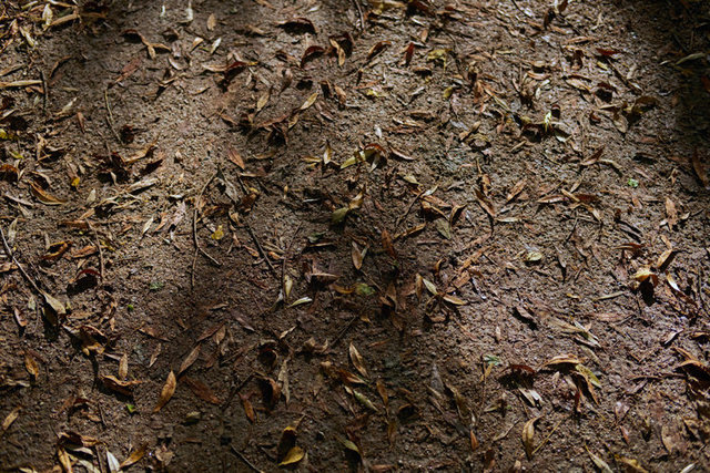 stodmarsh path DSCF4559.jpg