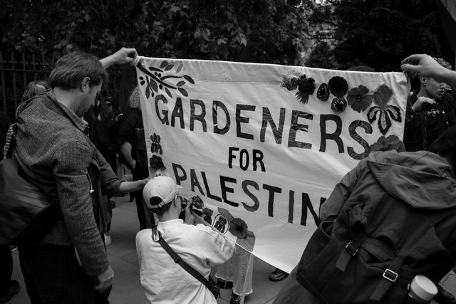 RSq March 2 - 35 DSCF8342.jpg