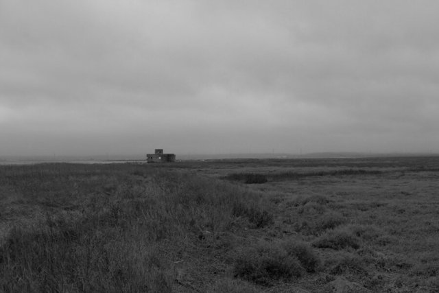 shellness 19 DSCF2601.jpg