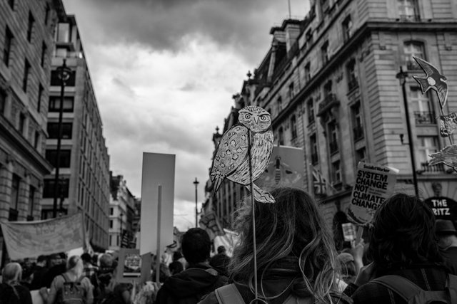 restore nature 75 DSCF9506.jpg