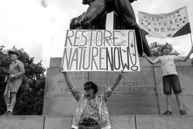 restore nature 14 DSCF9366.jpg