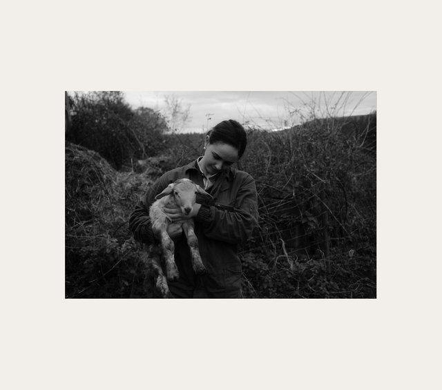 alicia witgh lamb 1.jpg