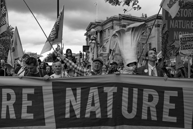 restore nature 51 DSCF9463.jpg