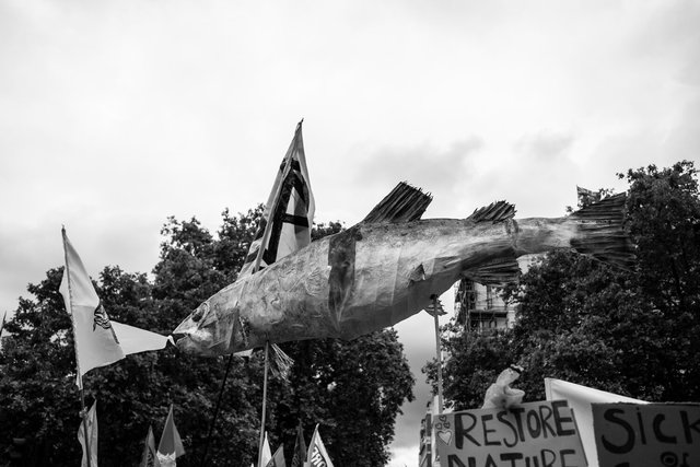 restore nature 38 DSCF9422.jpg