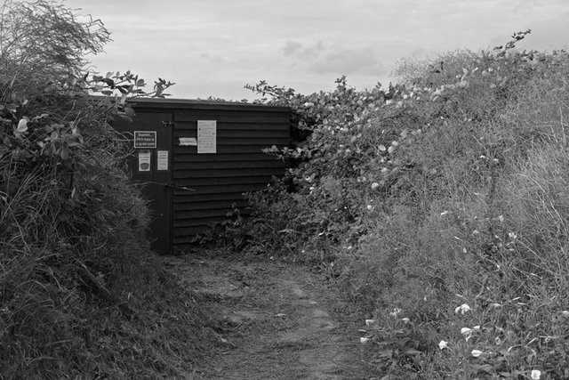 sandwich bay 17 DSCF0313.jpg