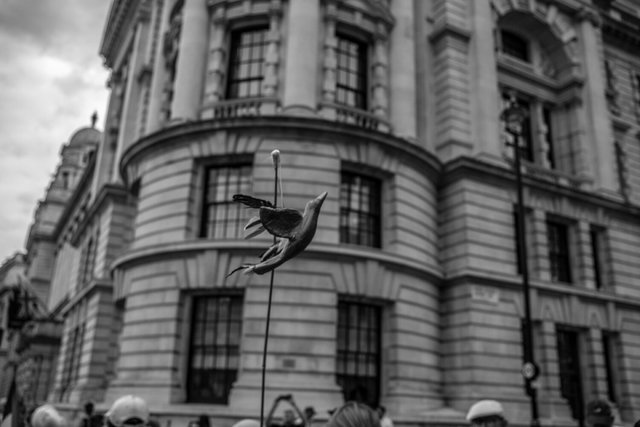 117 DSCF9801 copy.jpg