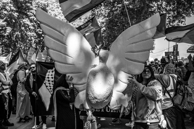 gaza nakbar 30 DSCF8588 copy.jpg