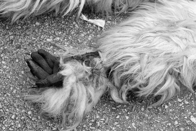 la vijanera sunday b&w 88 IMG_0104.jpg