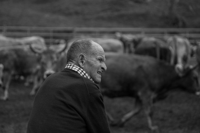 A2 12x8 la mason farmer48 b&w 1O6A5917.jpg