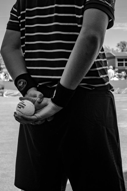 wimbledon 10 v crop DSCF4438 copy.jpg