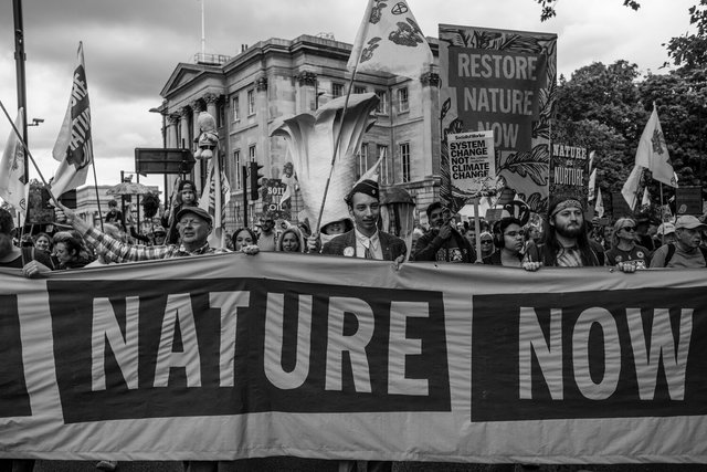 restore nature 50 DSCF9462-2.jpg