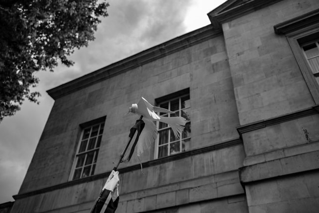 RSq March 2 - 196 DSCF9039.jpg