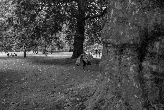 restore nature 5 DSCF9347.jpg