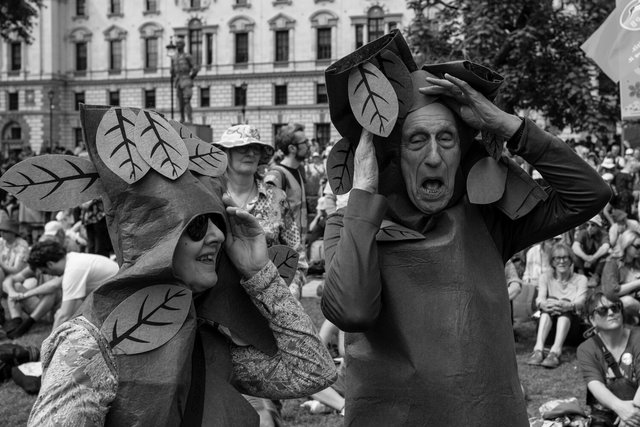 restore nature 135 DSCF9691.jpg