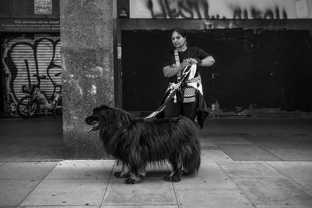 gaza nakbar 54 DSCF8724 copy.jpg