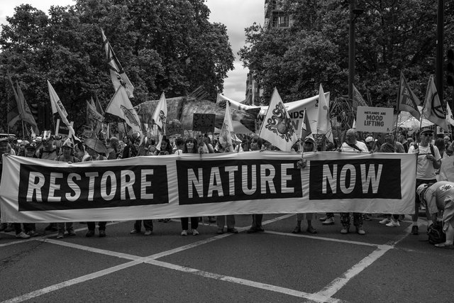 restore nature 29 .jpg