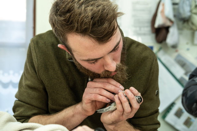 migration day 10 DSCF0026 copy.jpg