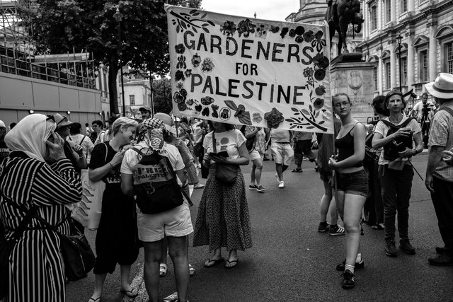 98 DSCF9738 copy.jpg