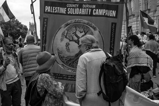 97 DSCF9737 copy.jpg