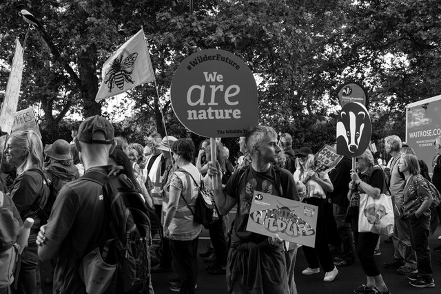 restore nature 72 DSCF9502.jpg