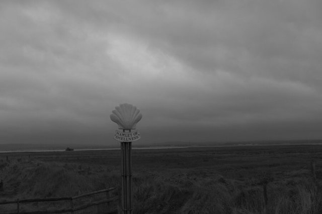 shellness 30 DSCF2787.jpg