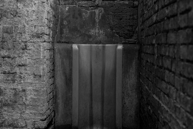 burgoyne 100 1O6A4116.jpg