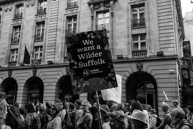 restore nature 77 DSCF9508.jpg