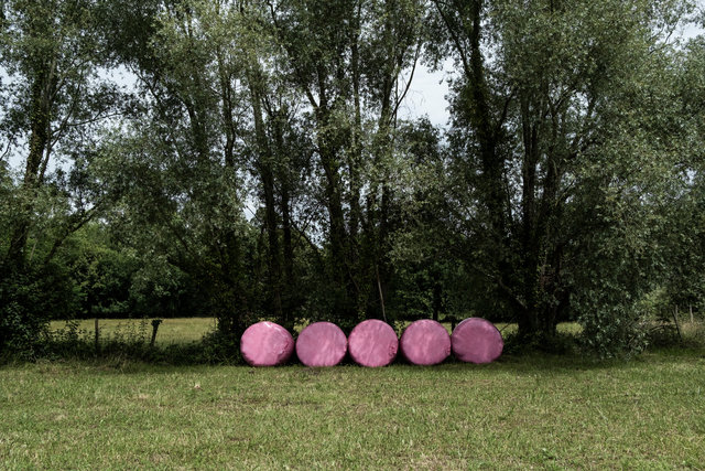 pink bales DSCF5383.jpg