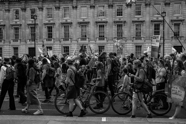 restore nature 93 DSCF9563.jpg