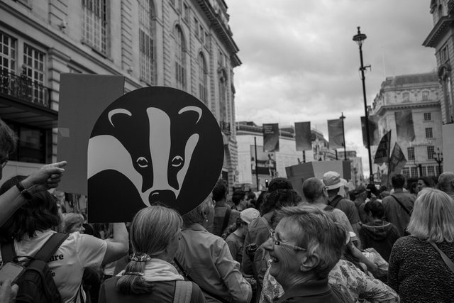 restore nature 87 DSCF9530.jpg