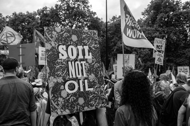 restore nature 37 DSCF9420.jpg