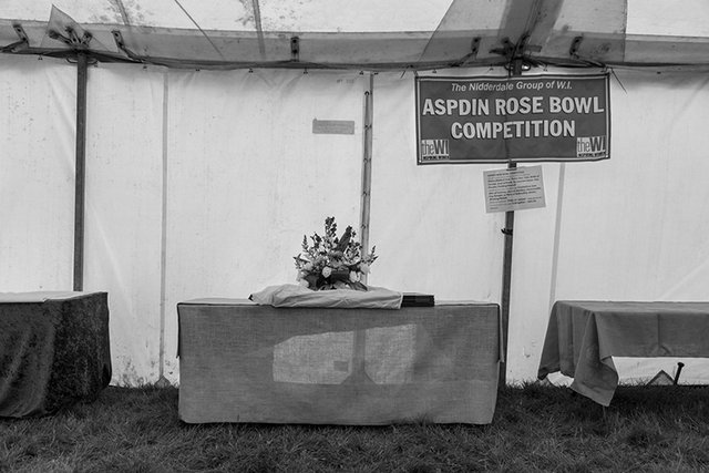 insta nidderdale WI 1 1O6A9846.jpg