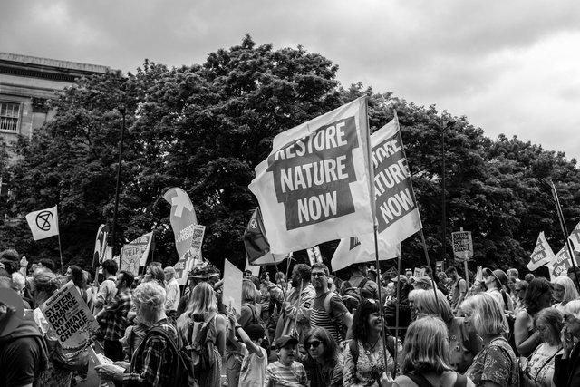 restore nature 47 DSCF9453.jpg