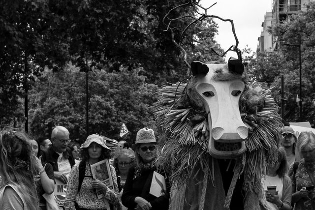 restore nature 27 crop DSCF9397-2 2.jpg