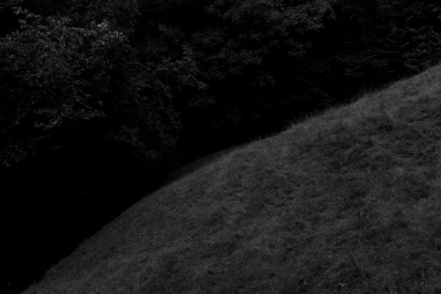 12x8 field at dusk IMG_4902.jpg