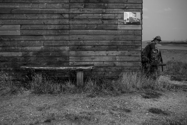 oare marshes 19.08.24 crop DSCF7836 copy (1).jpg