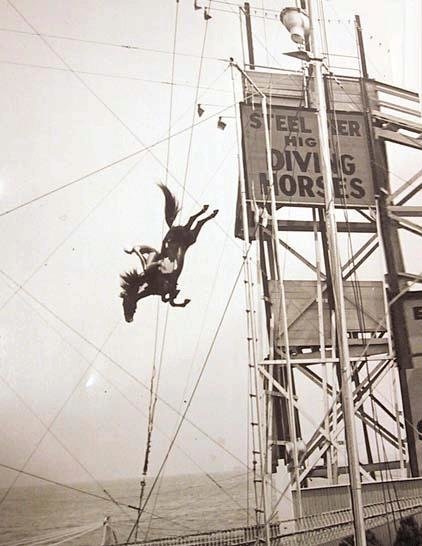 diving-horse-1.JPG