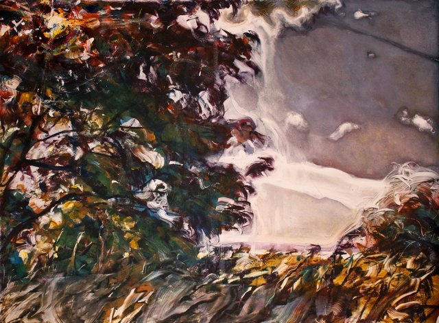 Locust Evening     22 x 30"