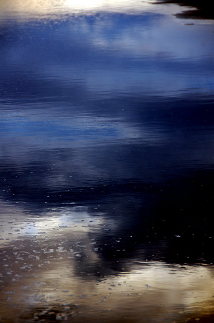 Delta del Ebro_0019.JPG