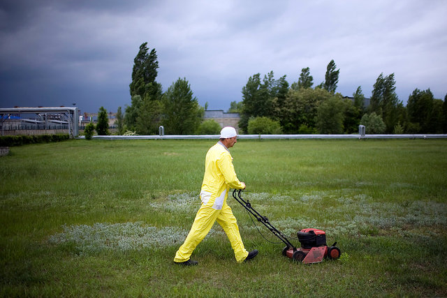 Cutting grass. 