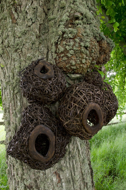 Installation from wood and rattan on the trees of the alley in Nääs, Sweden. 2015