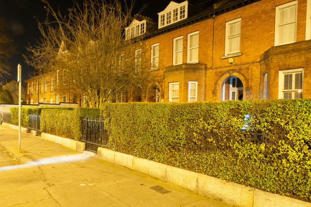 117 Morehampton Road: