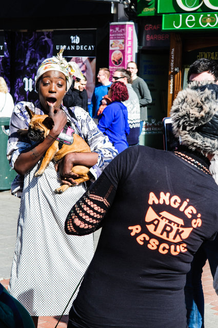 Angies Ark Rescue fundraiser (Grafton Street, Dublin)