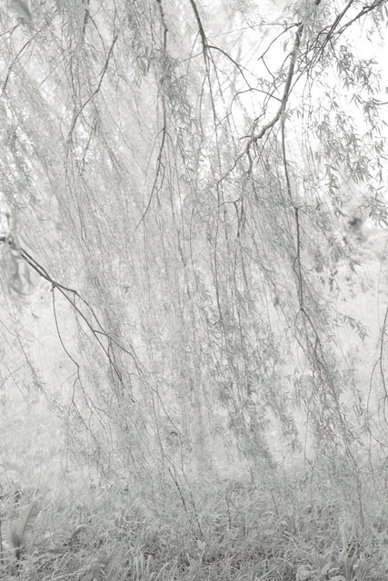 ALM00070_2012CL1616 copie.jpg