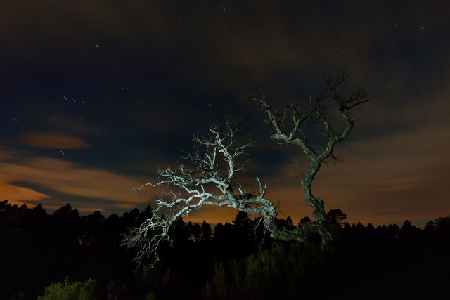 Plaine des Maures 2