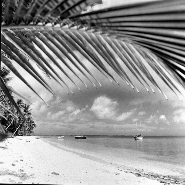 MICRO_CHUUK_01.jpg