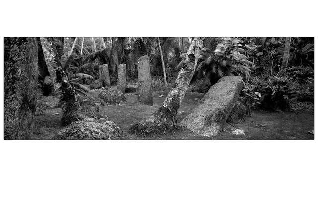 WAYFINDING_SECOND_EDIT_192.jpg